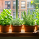 Windowsill Herb Gardens | Fresh Flavor In Compact Urban Homes