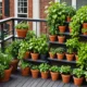 Container Gardening | Growing Organic Produce In Pots And Planters